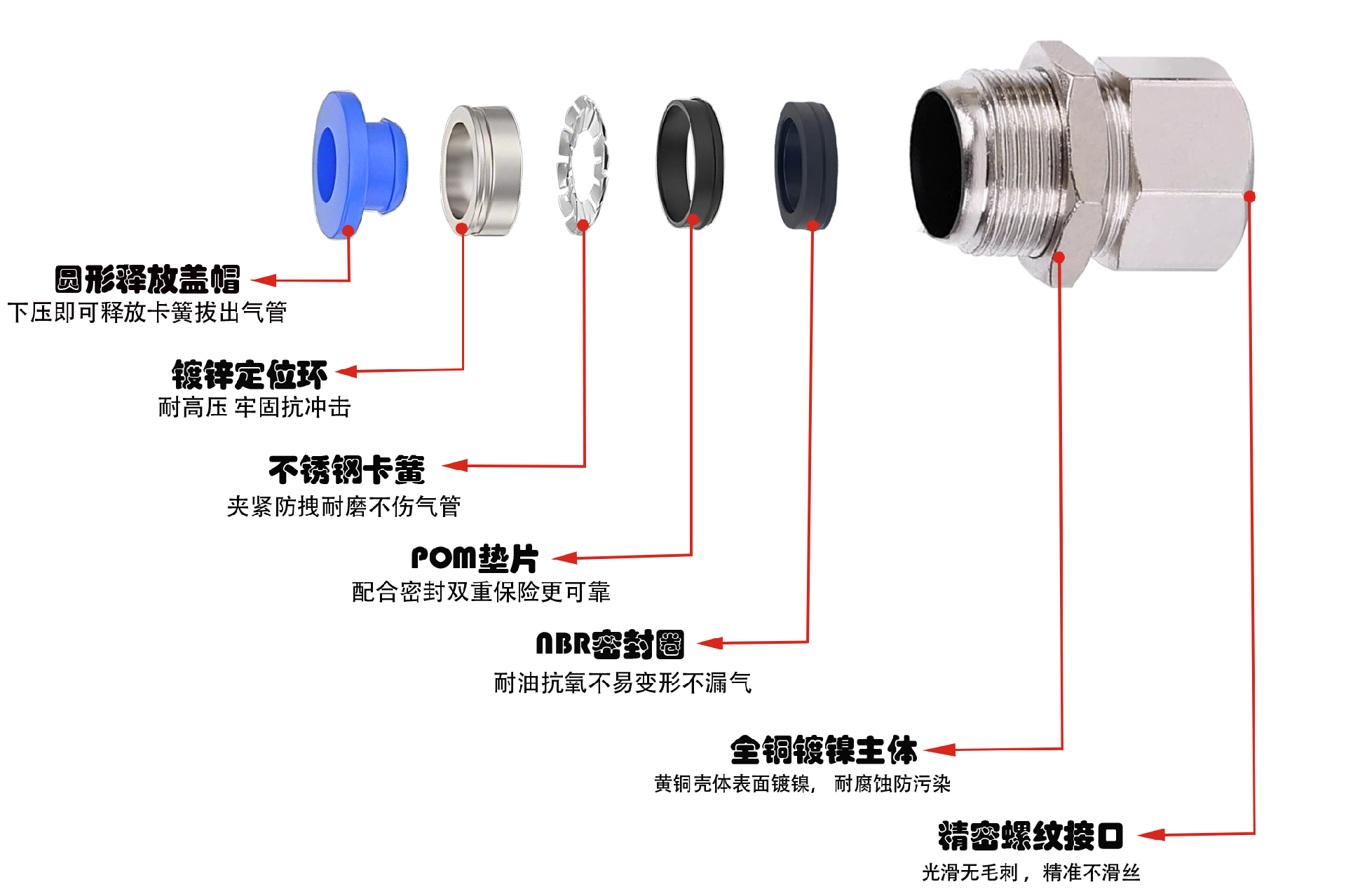 IPMF隔板內螺紋直通接頭剖析圖